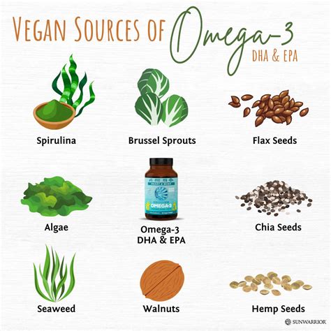 best cheap vegan omega 3|plant based foods high in omega 3.